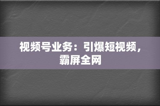视频号业务:引爆短视频,霸屏全网 第2张 视频号业务:引爆短视频,霸屏全网 第2张