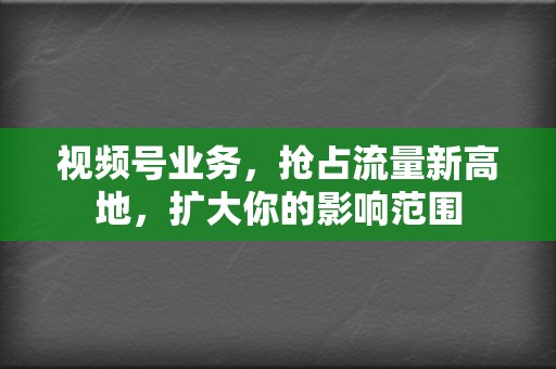 视频号业务,抢占流量新高地,扩大你的影响范围 第2张 视频号业务,抢占流量新高地,扩大你的影响范围 第2张