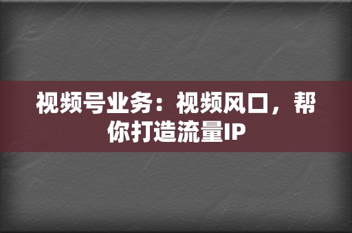 视频号业务:视频风口,帮你打造流量IP 第2张 视频号业务:视频风口,帮你打造流量IP 第2张