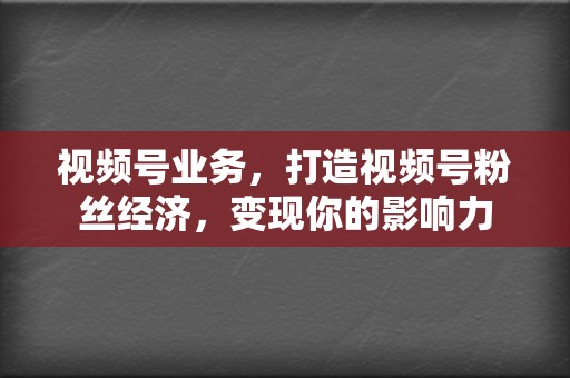 视频号业务，打造视频号粉丝经济，变现你的影响力  第2张