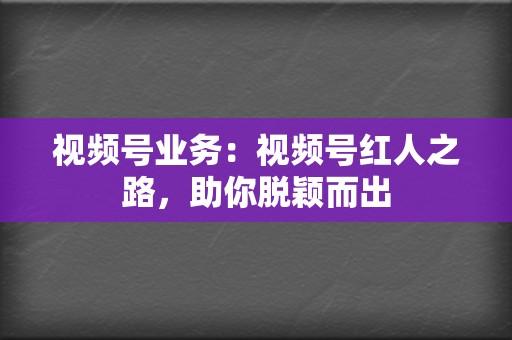 视频号业务:视频号红人之路,助你脱颖而出 第2张 视频号业务:视频号红人之路,助你脱颖而出 第2张