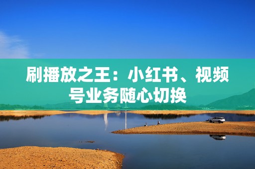刷播放之王:小红书、视频号业务随心切换 第2张 刷播放之王:小红书、视频号业务随心切换 第2张