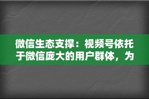 微信生态支撑:视频号依托于微信庞大的用户群体,为你提供精准的粉丝触达。 第2张 微信生态支撑:视频号依托于微信庞大的用户群体,为你提供精准的粉丝触达。 第2张