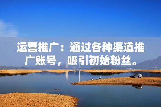运营推广:通过各种渠道推广账号,吸引初始粉丝。 第2张 运营推广:通过各种渠道推广账号,吸引初始粉丝。 第2张