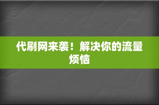 代刷网来袭!解决你的流量烦恼 第2张 代刷网来袭!解决你的流量烦恼 第2张