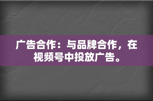 广告合作:与品牌合作,在视频号中投放广告。 第2张 广告合作:与品牌合作,在视频号中投放广告。 第2张