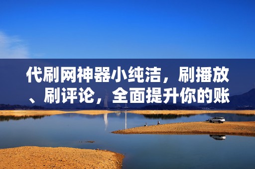 代刷网神器小纯洁,刷播放、刷评论,全面提升你的账号影响力! 第2张 代刷网神器小纯洁,刷播放、刷评论,全面提升你的账号影响力! 第2张