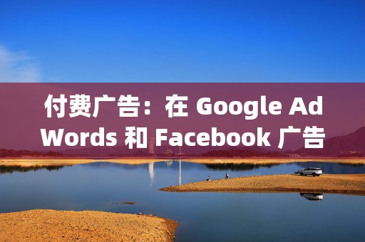 付费广告:在 Google AdWords 和 Facebook 广告等平台上运行付费广告活动,以接触更广泛的受众。 第2张 付费广告:在 Google AdWords 和 Facebook 广告等平台上运行付费广告活动,以接触更广泛的受众。 第2张