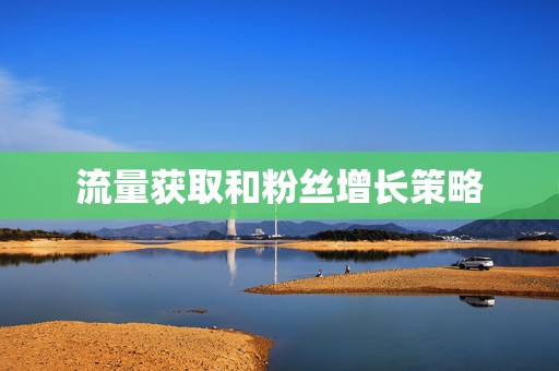 流量获取和粉丝增长策略 第2张 流量获取和粉丝增长策略 第2张