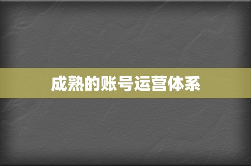 成熟的账号运营体系 第2张 成熟的账号运营体系 第2张
