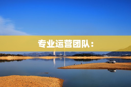 专业运营团队: 第2张 专业运营团队: 第2张