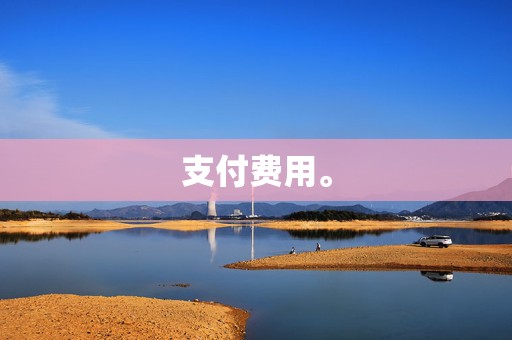 支付费用。 第2张 支付费用。 第2张