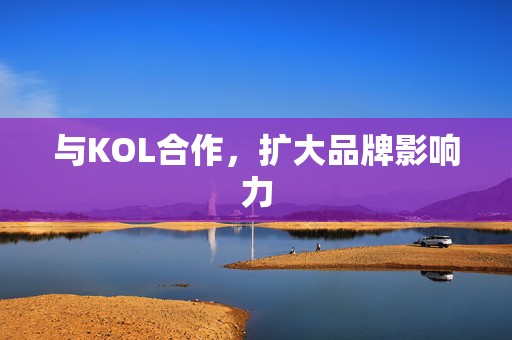 与KOL合作,扩大品牌影响力 第2张 与KOL合作,扩大品牌影响力 第2张