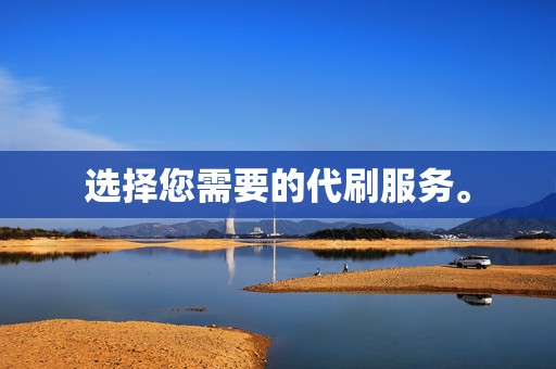 选择您需要的代刷服务。 第2张 选择您需要的代刷服务。 第2张