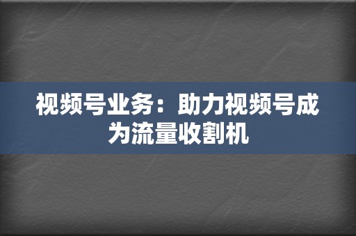 视频号业务:助力视频号成为流量收割机 第2张 视频号业务:助力视频号成为流量收割机 第2张