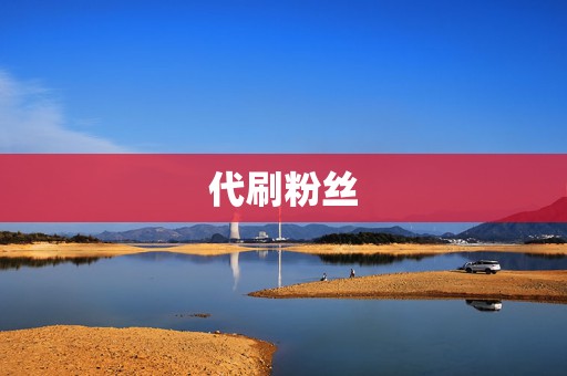 代刷粉丝 第2张 代刷粉丝 第2张