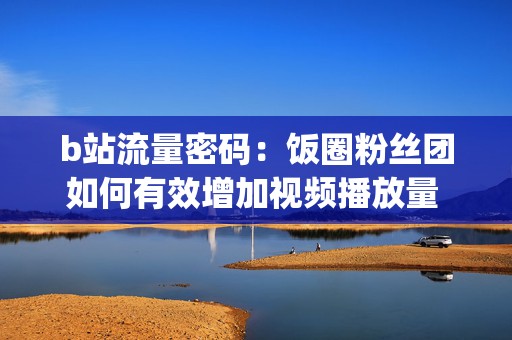 b站流量密码：饭圈粉丝团如何有效增加视频播放量 (b站流量密码每天百万播放量)  第2张