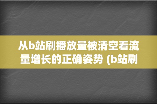 从b站刷播放量被清空看流量增长的正确姿势 (b站刷观看)  第2张