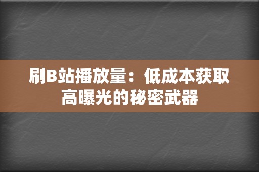 刷B站播放量：低成本获取高曝光的秘密武器