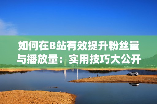 如何在B站有效提升粉丝量与播放量：实用技巧大公开 (如何在b站有两个账号)