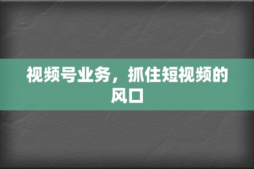 视频号业务,抓住短视频的风口 第2张 视频号业务,抓住短视频的风口 第2张