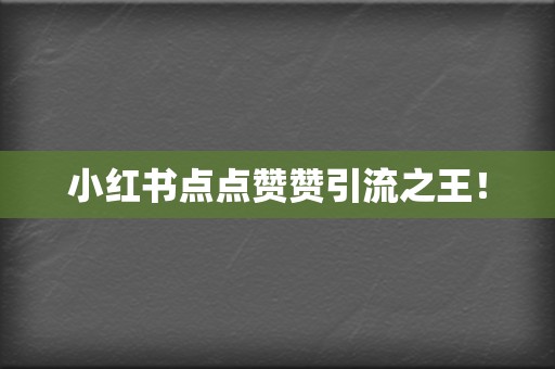 小红书点点赞赞引流之王! 第2张 小红书点点赞赞引流之王! 第2张